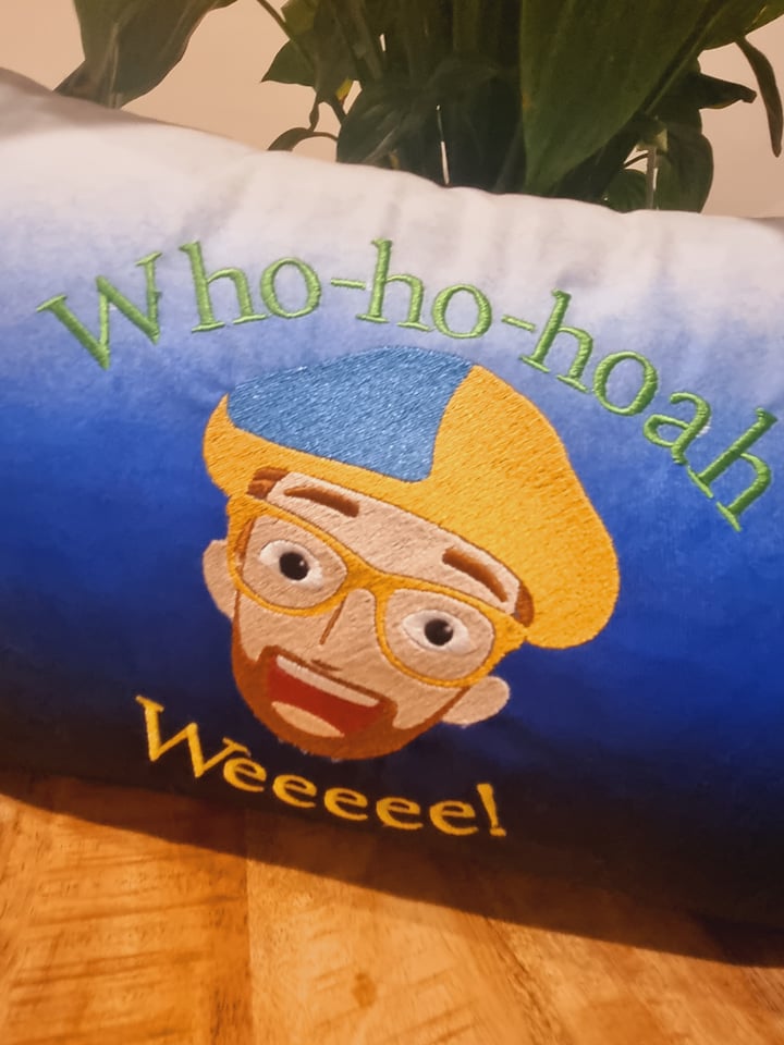 Kindy/Bed Cushion