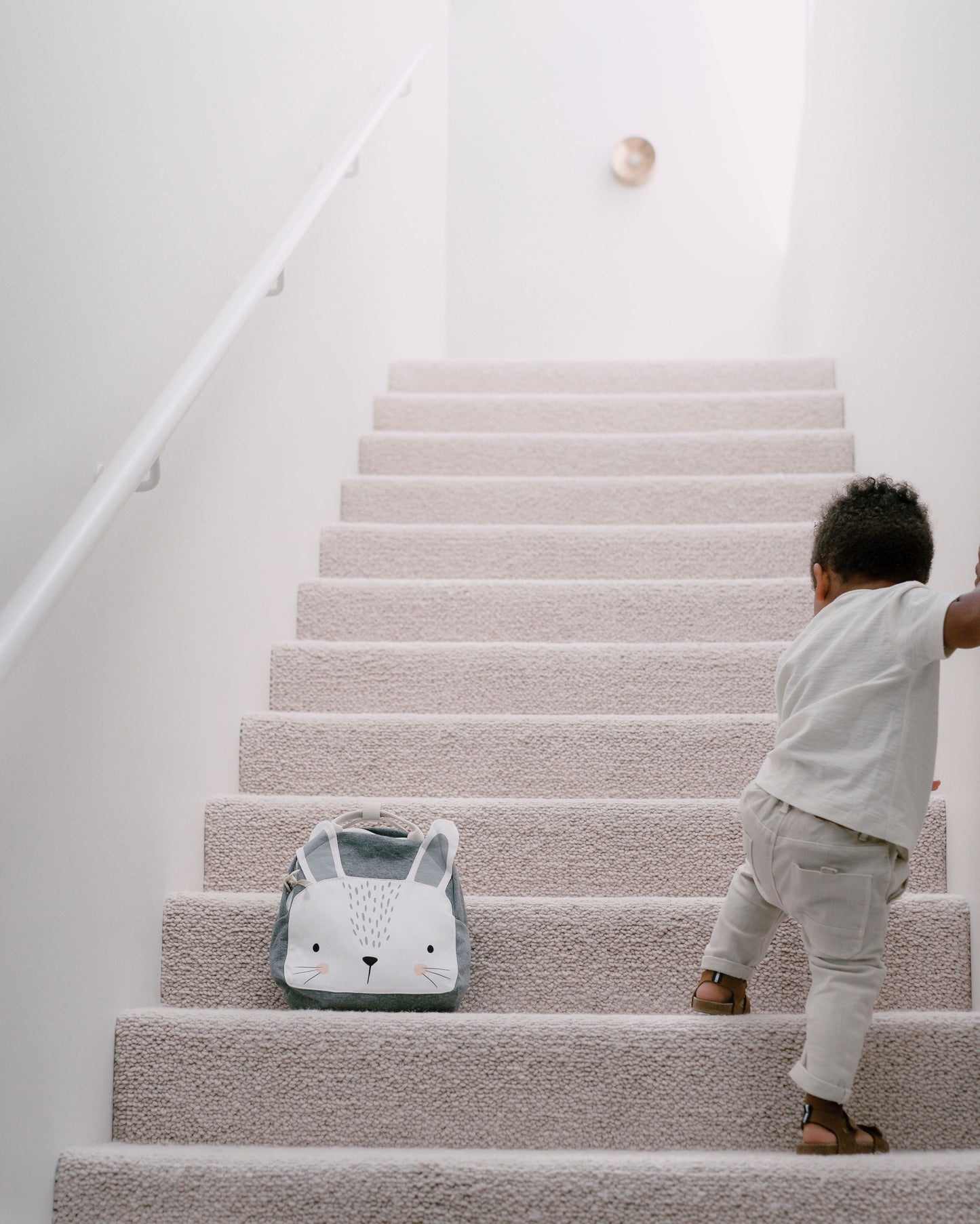 Mister Fly Backpacks