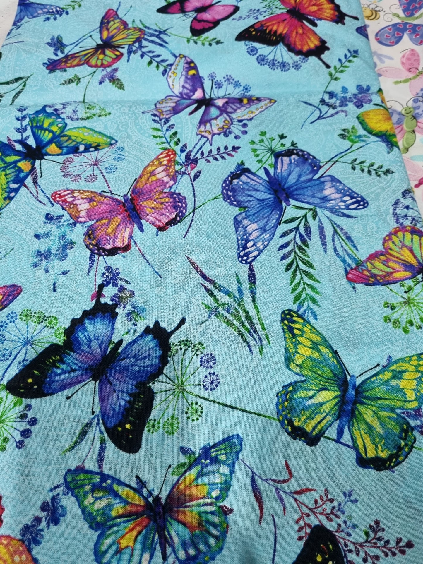 Butterfly Snuggle Sweeties