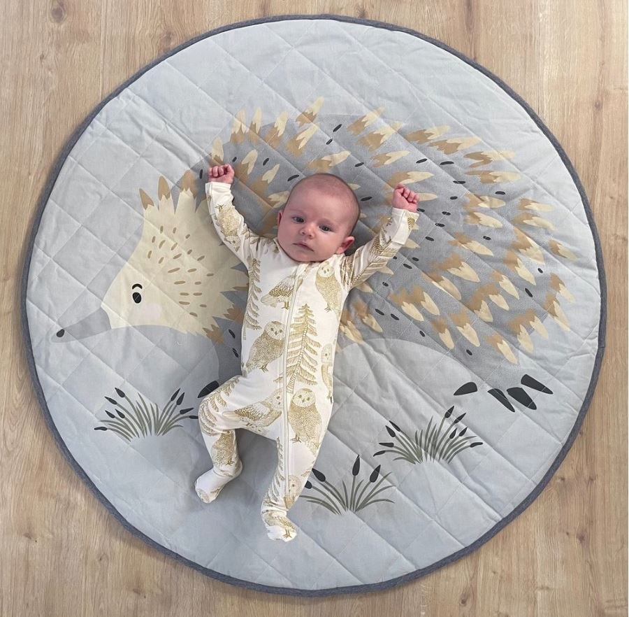 Mister Fly Water Resistant Playmat & Tummy Time Pillow